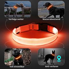 KOSKILL Light Up Dog Collar, Led Dog Collar Usb Rechargeable Waterproof, Flashing Dog Collars For Dark, Illuminated Dog Collars, Glowing In The Dark Dog Collar Lights For Dogs Night Walking Orange M