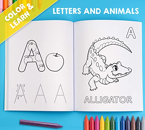 My Big Fun Coloring Book for Toddlers to Learn the Animals, Shapes, Colors, Numbers and Letters: Activity Workbook for Kids Ages 2-4 Years