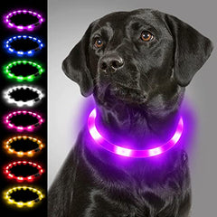 Joytale Light Up Dog Collar,LED Flashing Dog Collar for Night Walking, Glow Collars for Puppy Small Medium and Large Dogs,Purple