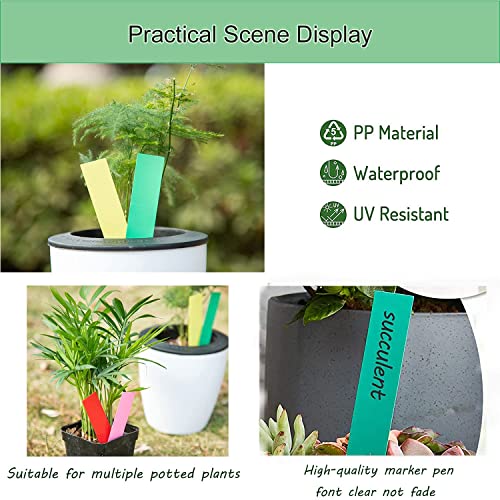 Plastic Plant Labels, 150Pcs Plant Tags Garden Plant Labels Plant Labels for Garden Seed Potted Herbs Flowers Vegetables, Multicolor