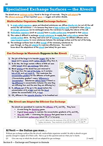 New GCSE Combined Science Edexcel Revision Guide - Higher includes Online Edition, Videos & Quizzes: for the 2024 and 2025 exams (CGP Edexcel GCSE Combined Science)