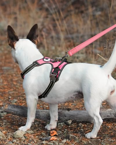 Joytale Padded Handle Dog Lead,Double-Sided Reflective Nylon Dogs Leads for Training,Walking Leash for Large, Medium Dogs, 1.2m × 2.5cm, Pink