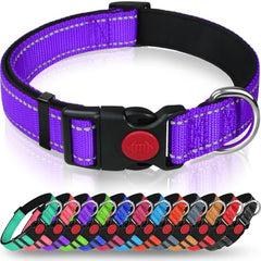 Taglory Reflective Nylon Dog Collar with Safety Buckle, Adjustable Pet Collars with Soft Neoprene Padding for Puppy Dogs, XS, Purple