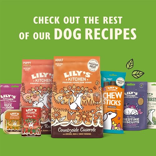 Lily's Kitchen Natural Grain Free Complete Adult Dry Dog Food - Lamb Shepherd's Pie (2.5kg Bag)