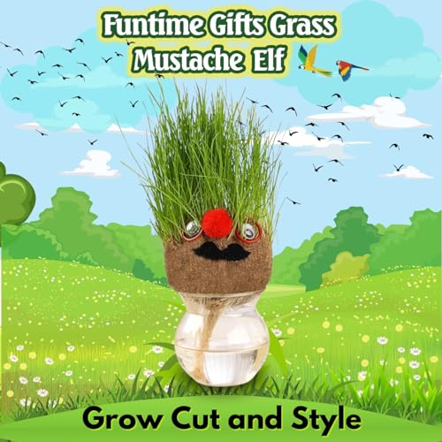 Grow Your Own Kits - Grow Your Own Hairy Mustache Man - Perfect and Funny Gift for Men Women Kids - Fresh Grass Plant for Home and Garden Decoration