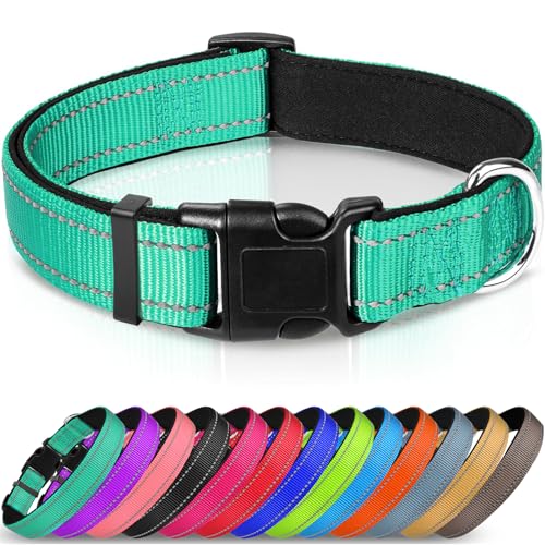 Joytale Dog Collar, Reflective Padded Neoprene Pet Collar, Adjustable Nylon Collars for Medium Dogs, M, Teal