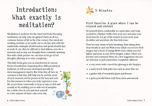 The Little Book of Meditation: 10 minutes a day to more relaxation, energy and creativity (The Little Book Series)