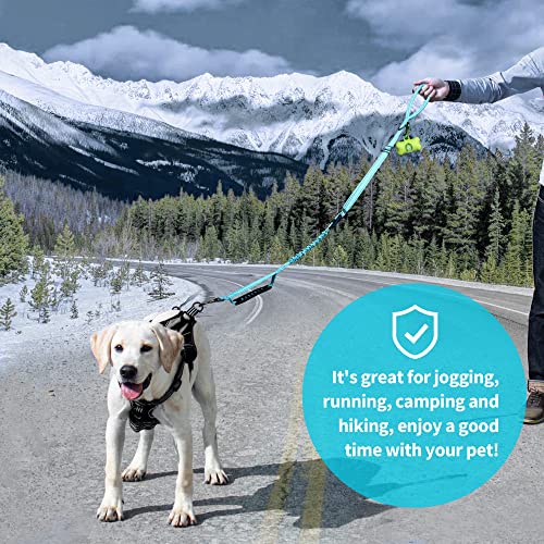 Dog Lead, Adjustable Dog Lead with Safety Belt for Dogs, Comfortable Padded Handle and Reflective Thread (Light Blue)