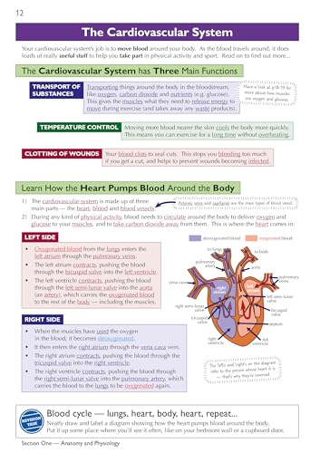 New GCSE Physical Education Edexcel Complete Revision & Practice (with Online Edition and Quizzes) (CGP Edexcel GCSE PE)