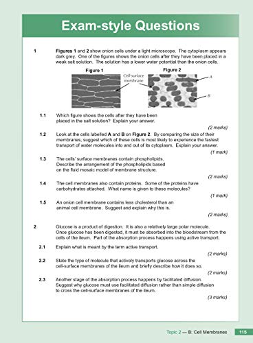 A-Level Biology for AQA: Year 1 & 2 Student Book with Online Edition: course companion for the 2024 and 2025 exams (CGP AQA A-Level Biology)