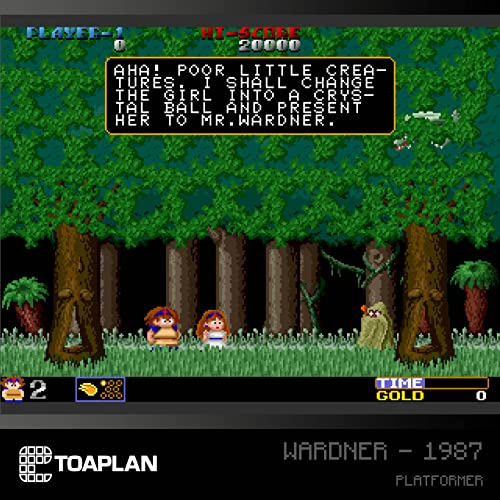 Evercade Toaplan Arcade Cartridge 2