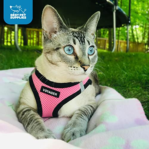 Best Pet Supplies Voyager Step-in Air Dog Harness - All Weather Mesh Step in Vest Harness for Small and Medium Dogs by - Harness (Pink/Black Trim), XX-Small