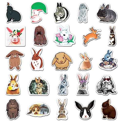 Cute Rabbit Vinyl Stickers 50 Packs for Laptop Water Bottles Bike Skateboard Luggage Window Bumper Wall Computer Bunny Stickers DIY Decoration as Gifts for Kids Girls Teens