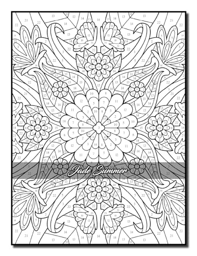 Color by Number Patterns: An Adult Coloring Book with Fun, Easy, and Relaxing Coloring Pages (Color by Number Coloring Books)