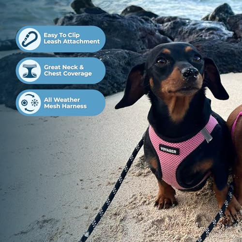 Best Pet Supplies Voyager Step-in Air Dog Harness - All Weather Mesh Step in Vest Harness for Small and Medium Dogs by - Harness (Pink/Black Trim), XX-Small