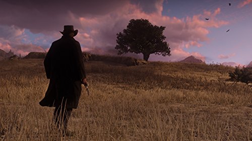 Red Dead Redemption 2 for Xbox One