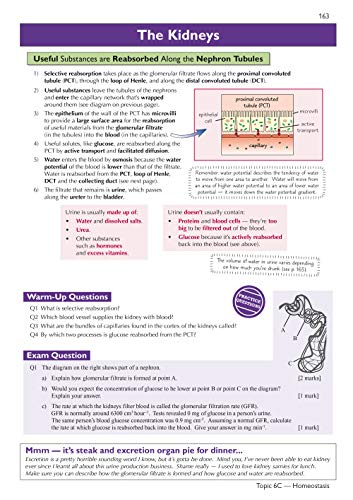 A-Level Biology: AQA Year 1 & 2 Complete Revision & Practice with Online Edition: ideal for the 2024 and 2025 exams (CGP AQA A-Level Biology)