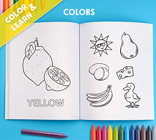 My Big Fun Coloring Book for Toddlers to Learn the Animals, Shapes, Colors, Numbers and Letters: Activity Workbook for Kids Ages 2-4 Years