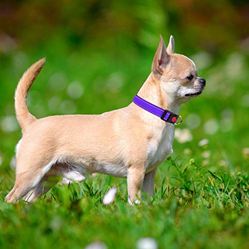 Taglory Reflective Nylon Dog Collar with Safety Buckle, Adjustable Pet Collars with Soft Neoprene Padding for Puppy Dogs, XS, Purple