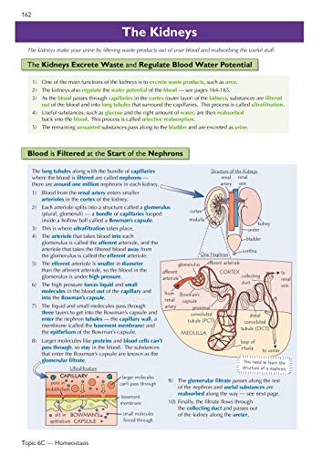 A-Level Biology: AQA Year 1 & 2 Complete Revision & Practice with Online Edition: ideal for the 2024 and 2025 exams (CGP AQA A-Level Biology)