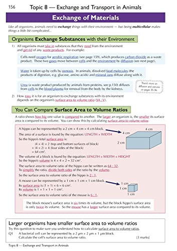 New GCSE Biology Edexcel Complete Revision & Practice includes Online Edition, Videos & Quizzes: for the 2024 and 2025 exams (CGP Edexcel GCSE Biology)