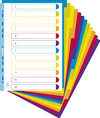 Exacompta - Ref 3812E - Campus PP Dividers - Suitable for A4and Documents, 12 Tabbed Parts, 0.3mm Rigid Polypropylene, Pre-Punched for Folders - Multi-Coloured (Pack of 2)