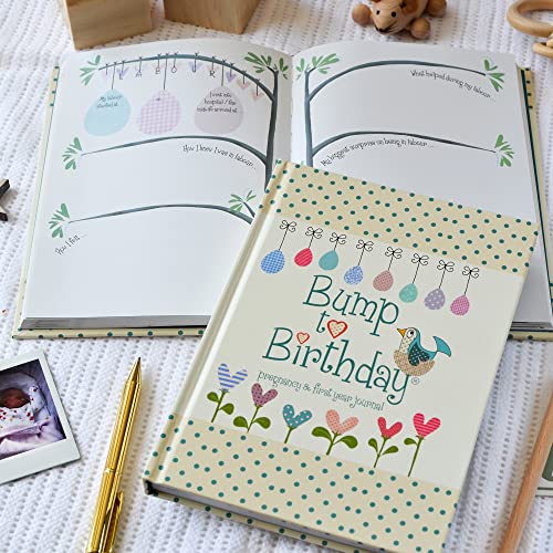 Bump To Birthday: Pregnancy & First Year Journal To Capture Memories Of the Growing Bump, the Birth & the New Baby (Pregnancy & Baby)