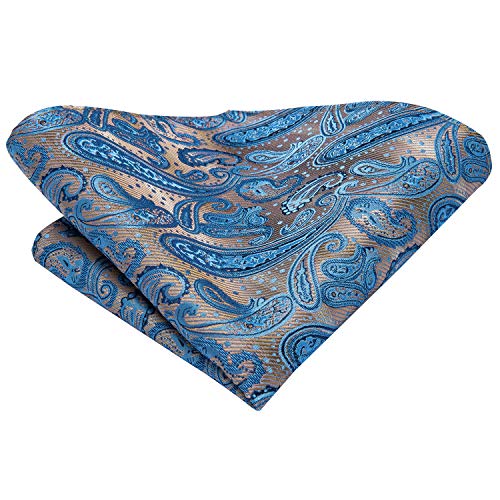 Dubulle Mens Silk Ties Extra Long Blue and Brown Paisley Set Neckties Pocket Square Cufflinks Wedding Party