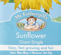 Mr Fothergill's 16054 Flower Seeds, Sunflower Giant Single