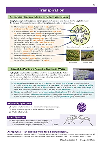 A-Level Biology: OCR A Year 1 & 2 Complete Revision & Practice w/Online Edition (For exams in 2024) (CGP OCR A A-Level Biology)