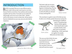 National Trust: Out and About Bird Spotter - A children's guide to over 100 different birds