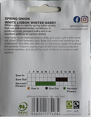 White Lisbon Spring Onion Seeds Winter Hardy, 600 Seeds for Planting in Gardens, Pots & Allotments – Suitable for Indoor & Outdoor Planting – Packed in The UK by Meldon Seeds