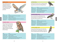 National Trust: Out and About Bird Spotter - A children's guide to over 100 different birds