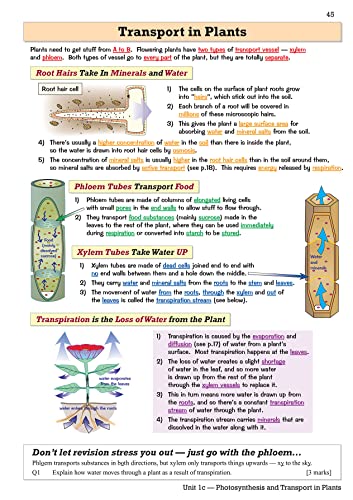 WJEC GCSE Biology Revision Guide (with Online Edition): for the 2024 and 2025 exams (CGP GCSE Wales)