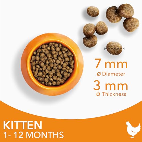 IAMS for Vitality Dry Kitten Food with Fresh Chicken, 3 kg, Packaging may vary