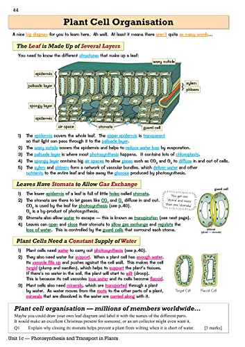 WJEC GCSE Biology Revision Guide (with Online Edition): for the 2024 and 2025 exams (CGP GCSE Wales)