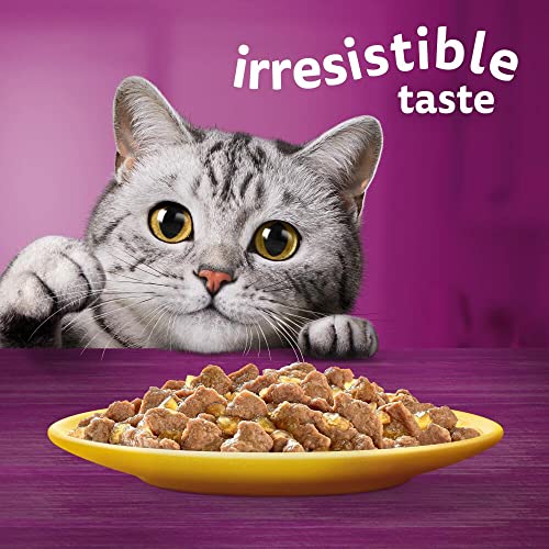 Whiskas 7and Poultry Selection in Jelly, Senior Cat Food, 12 x 85g