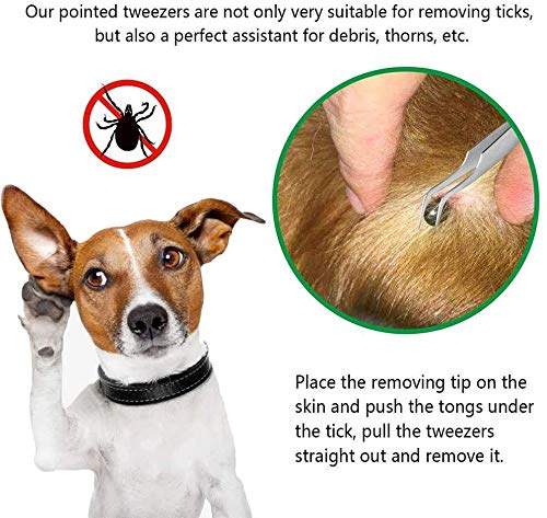 EasyULT Tick Remover, Sided Stainless Steel Tick Remover, with Storage Iron Box Easy Remove, Ticks Tick Remover Tool for Humans, Dogs, Cats