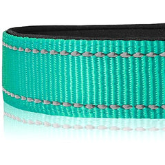 Joytale Dog Collar, Reflective Padded Neoprene Pet Collar, Adjustable Nylon Collars for Medium Dogs, M, Teal