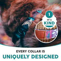 Embark Urban Dog Collars with Soft Padded Neck, Matching Set with Urban Leash and Harness, Pet Collars for Dogs & Most Breeds - Puppy Collars, Dog Collar for Medium Large & Small Dogs UK