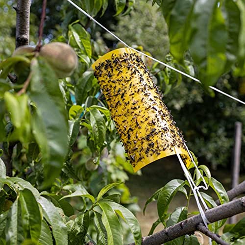 FIRST CHOICE KAYA Pesticide Free Fly Paper Strips Flies Trap Indoor Outdoor Use Sticky Fly Catcher for Insects Moths Mosquitoes Sold by KAYA LTD (8)