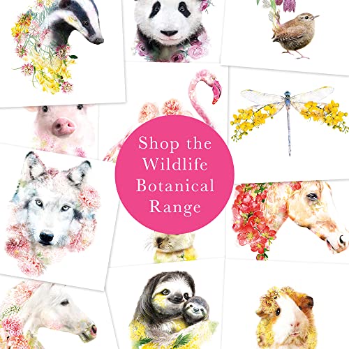 Lola Design - Wildlife Botanical Greeting Cards - Blank Cards and Envelopes - Hedgehog Card