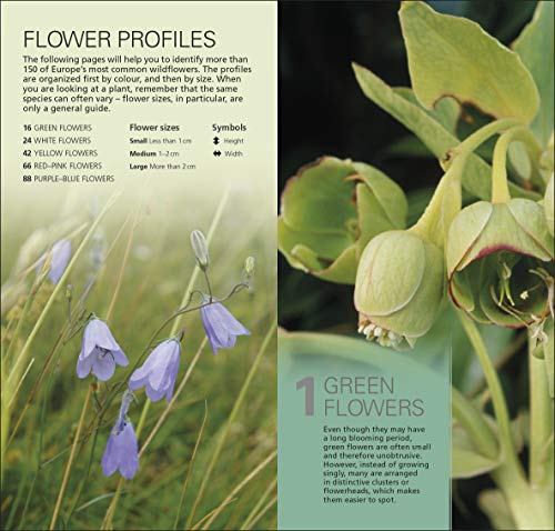 What's that Flower?: The Simplest ID Guide Ever