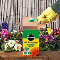 Miracle-Gro All Purpose Soluble Plant Food, 1 kg (Pack of 2)