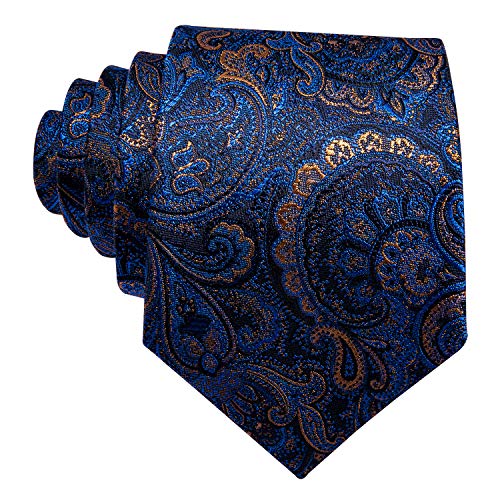 Barry.Wang Mens Tie Paisley Plaid Striped Floral Silky Necktie Pocket Square Cufflinks Clip Set Wedding Party Formal Business