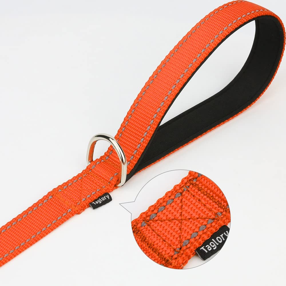 Taglory Dog Leads for Medium Large Dogs   Double Sided Reflective   Soft Neoprene Padded Handle   2.5 cm Wide by 120 cm Long   Orange