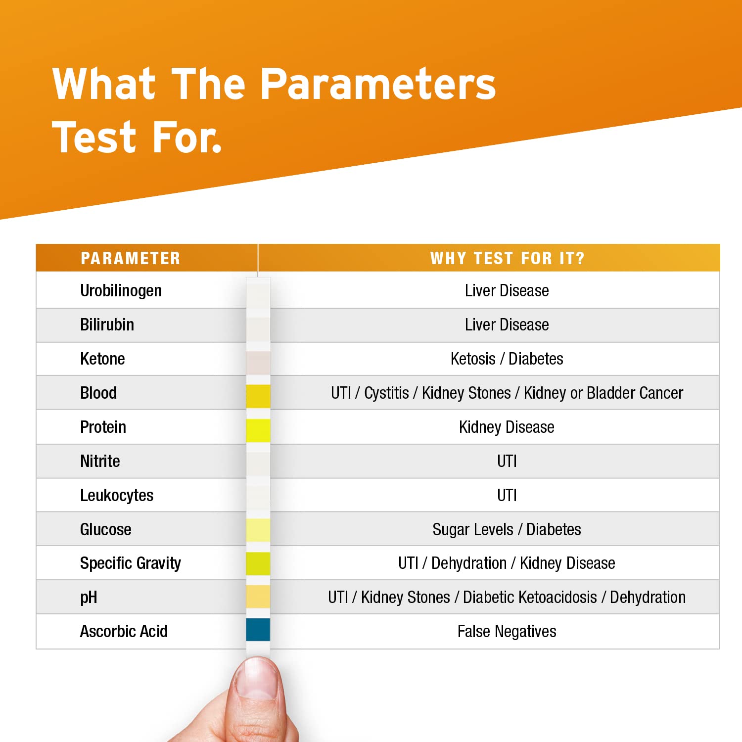 100 x Aydmed 11-in-1 Urinalysis 11 Parameter Urine Test Strips for Urobilinogen, Bilirubin, Ketone, Blood, Protein, Nitrite, Leukocytes, Glucose, Specific Gravity, pH & Ascorbic Acid