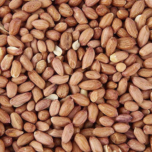 Garden Ting Premium Peanut Kernels, Wild Bird Food Tub, 3 Litre