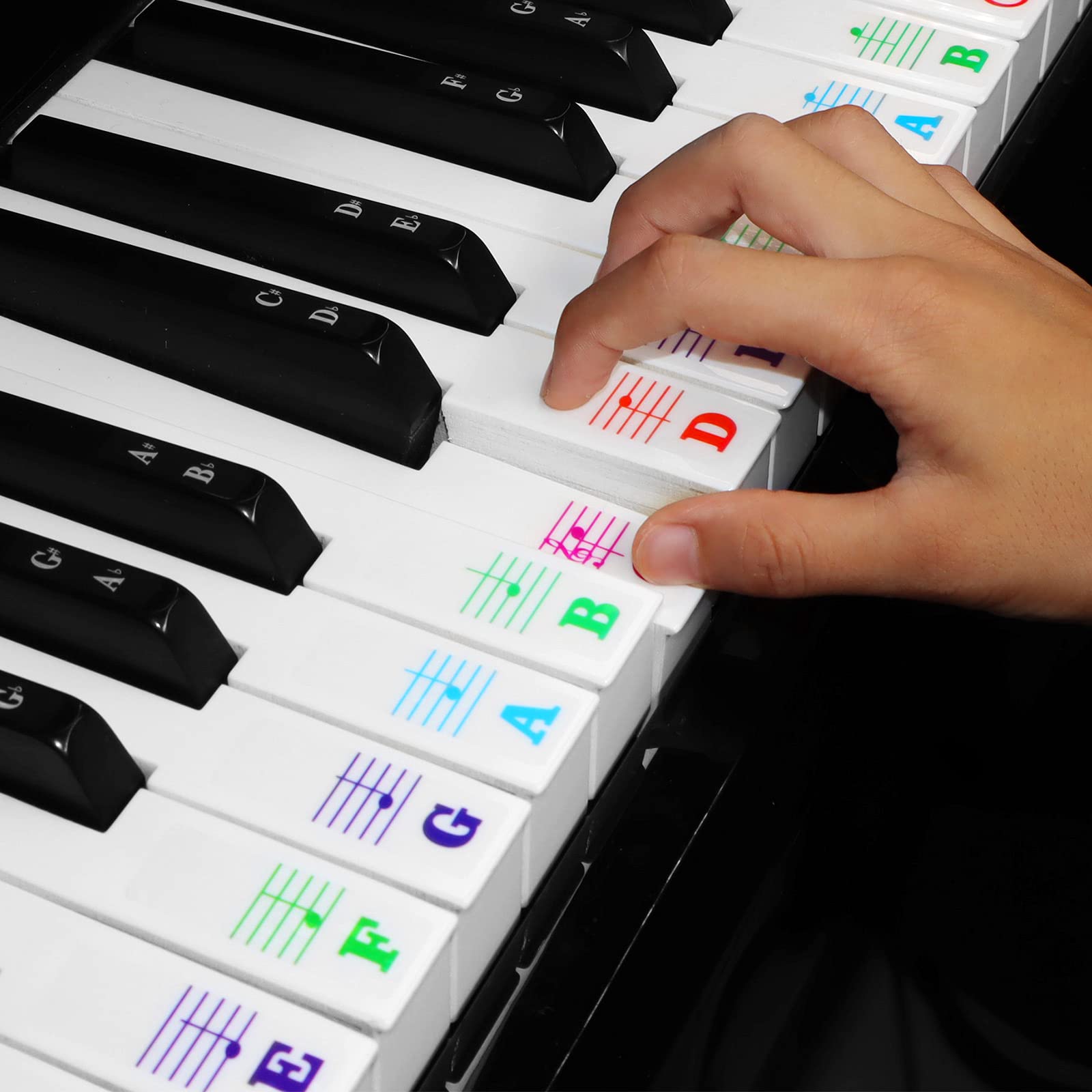 Piano Stickers, Piano Key Stickers for 88/61/54/49/37 Key Full Set for White and Black Keys, Color Bigger Letter-Thinner Transparent Removable Material with Cleaning Cloth