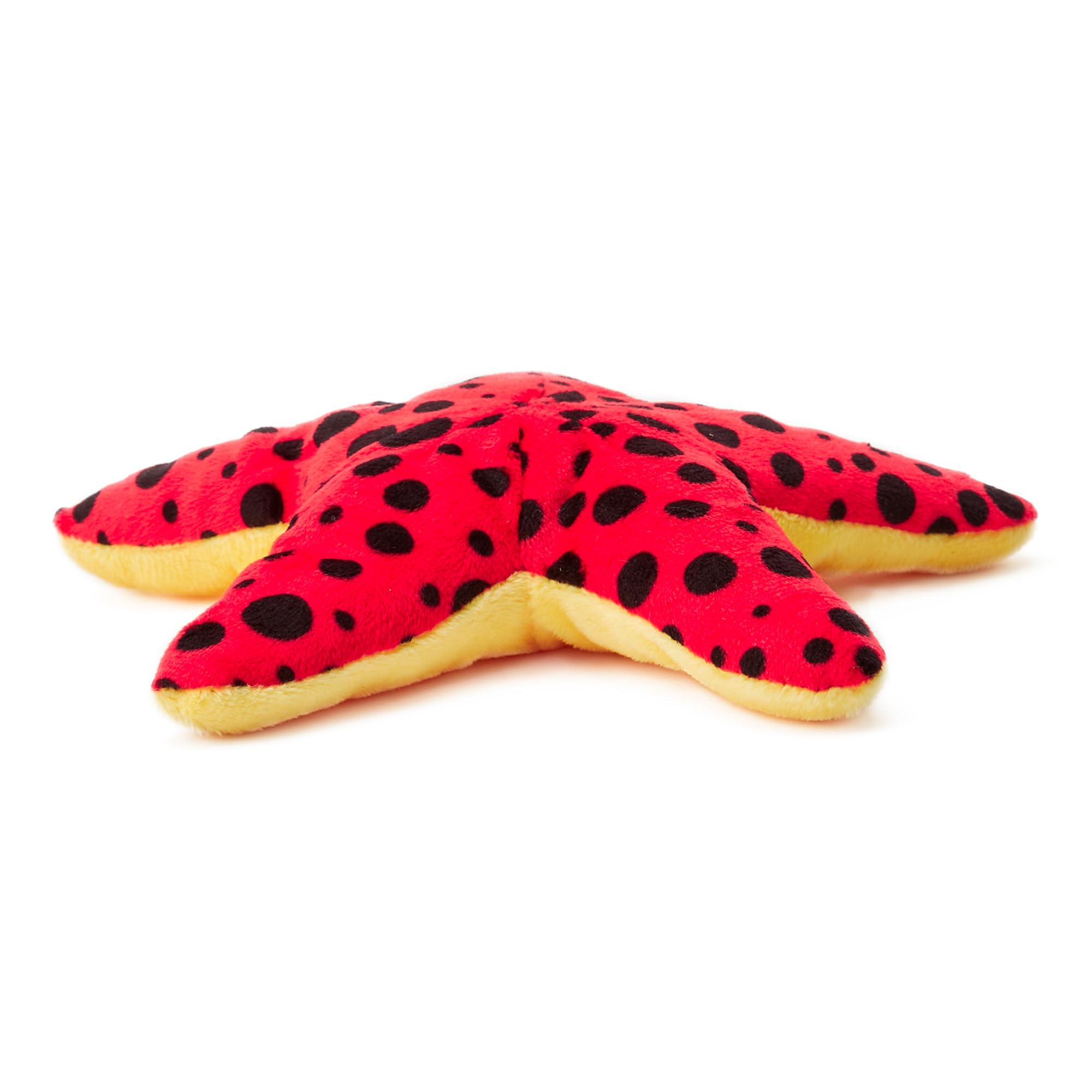 Zappi Co 100% Recycled Plush Red & Black Starfish Toy (17cm Length) Stuffed Soft Cuddly Eco Friendly animals Collection For New Born Child First kid